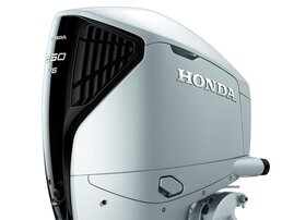 BF250DK1XDU DBW