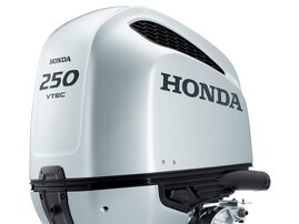 BF250 D