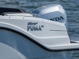 009 Silver-Puma-BRz-21YM-act-a-010