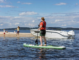 007 2026 Silver Tiger-DC sup-laudalla action-009