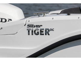 023 web Silver-Tiger-DCZ-21YM-det-aws-23